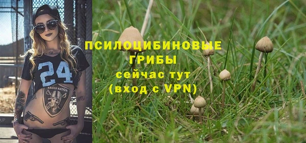 а пвп мука Беломорск
