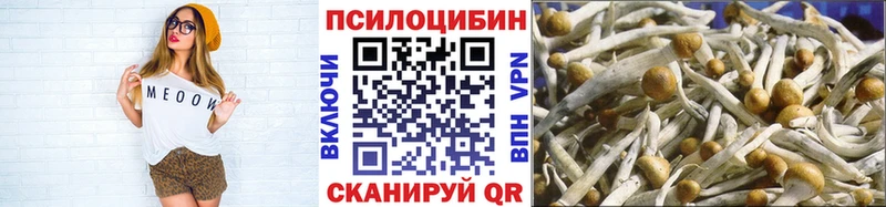 Галлюциногенные грибы Psilocybine cubensis  Томилино 